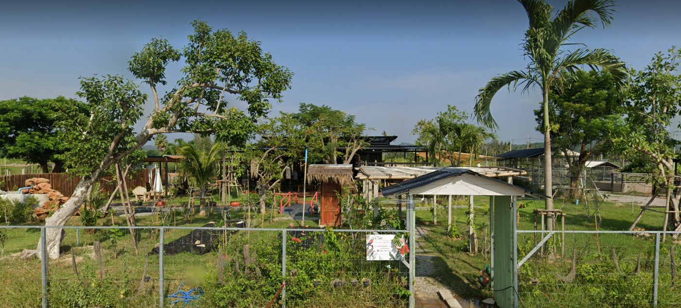 Parrotdise Organic Farm & Cafe
