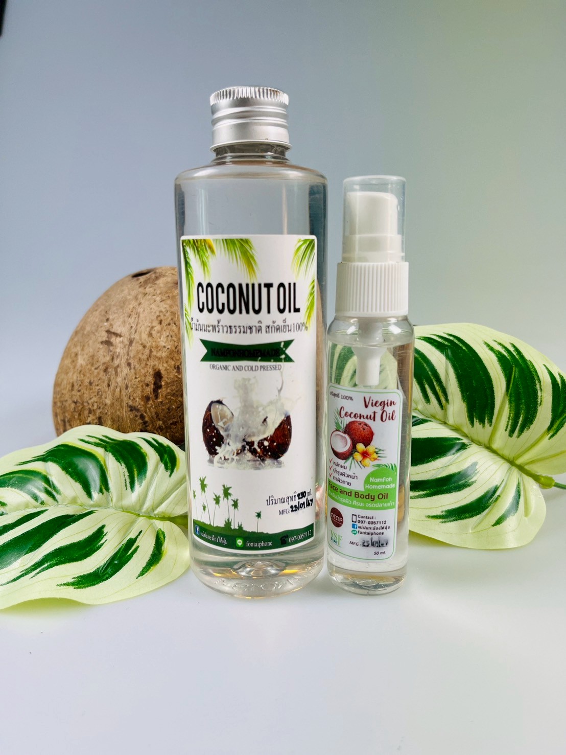 น้ำมันมะพร้าวใหญ่ (14)